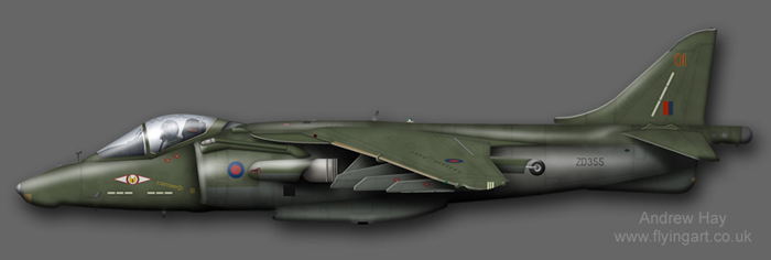 Harrier GR.5 ZD355 1(F) Sqn